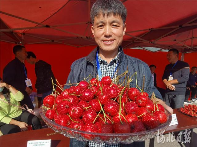 看，金秋的收获！河北各地共庆丰收节