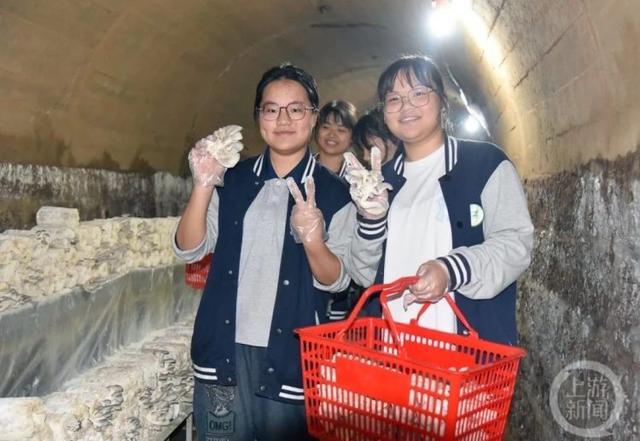 劳动课还能这样上！中学生在校内防空洞里种蘑菇