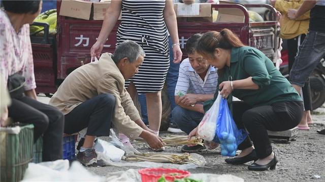 酉港的小暑属于湖光，属于甲鱼，更属于藕尖与莲