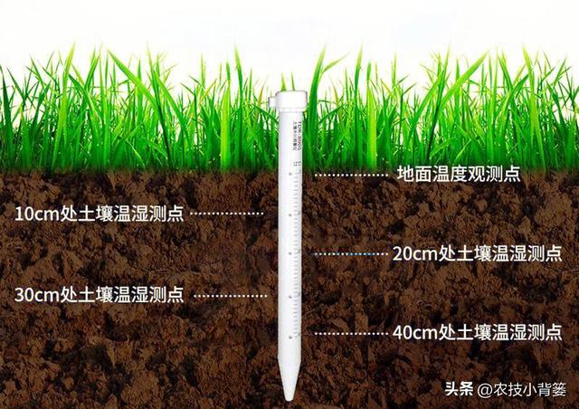 土壤墒情分几个等级？具体怎么判断？如何确定适合小麦适播墒情？