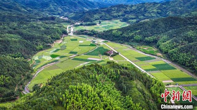 福建建宁：特色农业为革命老区增添新活力