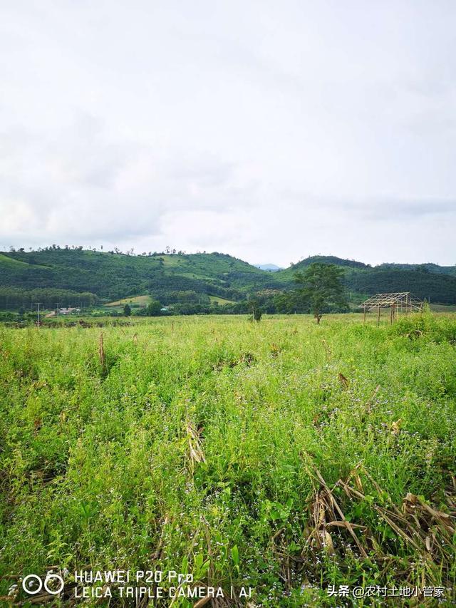 老挝6000亩水浇地出租，适合种植西瓜等反季节蔬菜瓜果