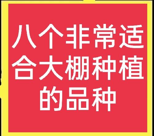 大棚种植什么能赚钱？推荐八个高利润品种，想赚钱的过来看