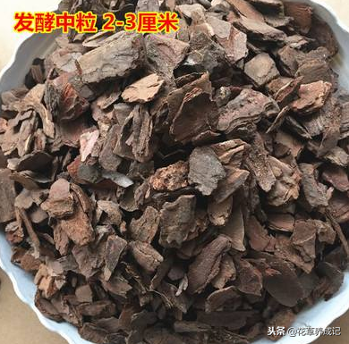 铁皮石斛用什么土种植？