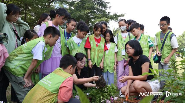 亲手栽培花苗，共建儿童花园！“小小育花匠”活动圆满结束