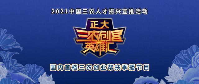 种藕8000余亩，产值5000多万，带动3000余人，来听听他的致富经