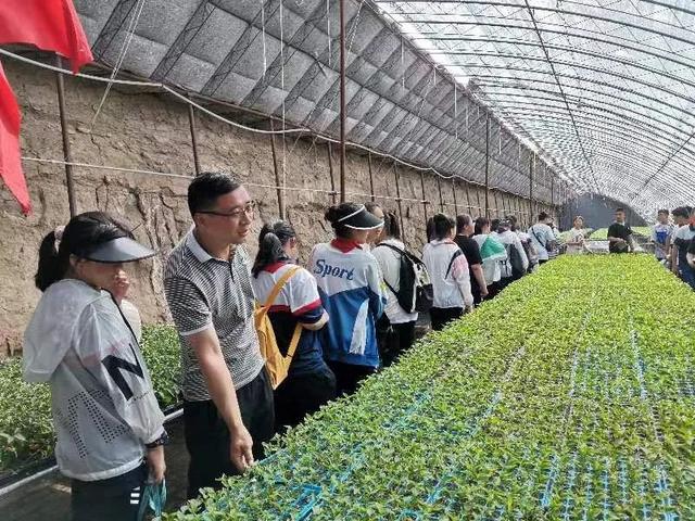 这家果蔬种植基地来了一群特殊的“小客人”……