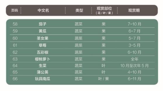 家里阳台种点啥？66种推荐植物在此