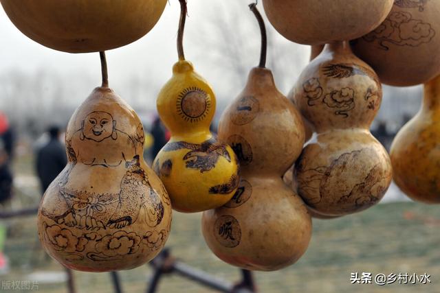 院子里种植“葫芦”省心又美观！挂在家里能除邪，种植方法告诉你