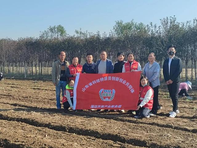 为芦笋种植“开处方”，潍坊的科技特派员把论文“写”到田间地头