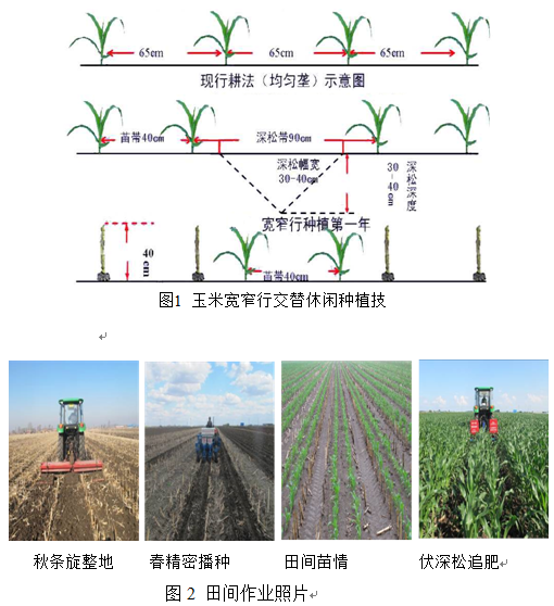 十、玉米宽窄行交替休闲种植技术