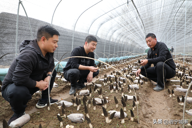 创业守初心，造福一方人—记洛宁县退役军人事务局创业典型田倚鹏