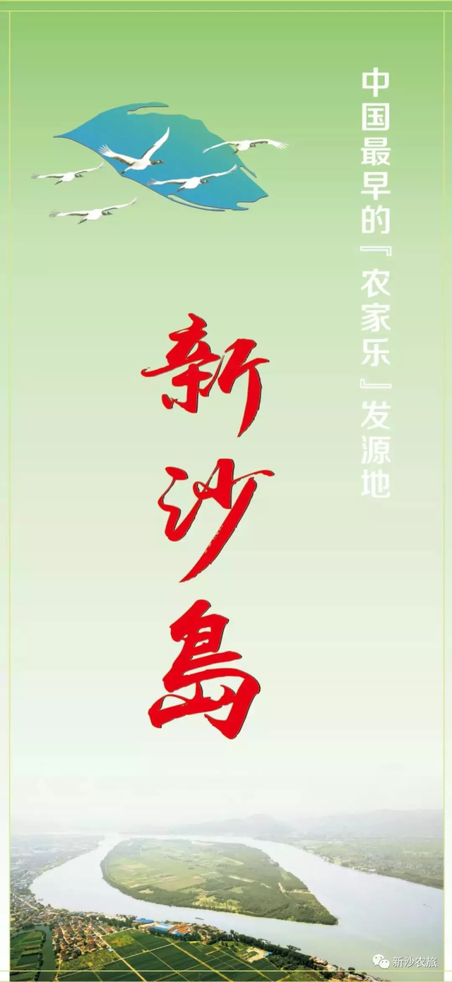 新沙岛葡萄！一个字：甜