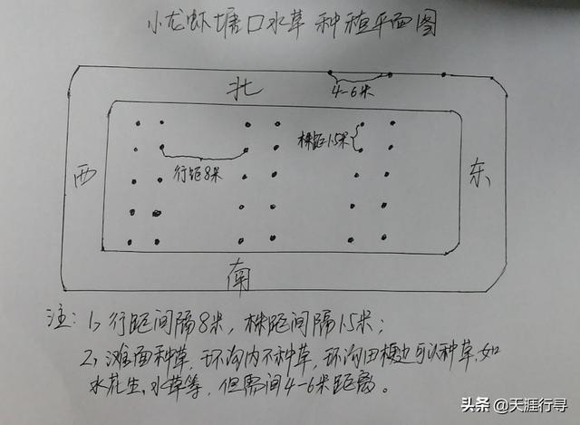 小龙虾养殖水草管理