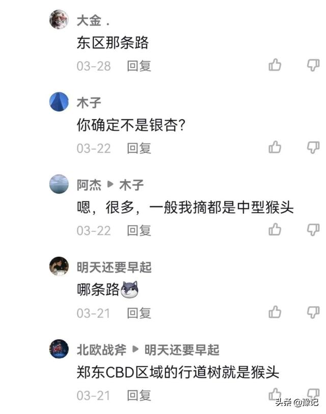 盘它，看河南人怎么把核桃盘成了文玩和艺术品