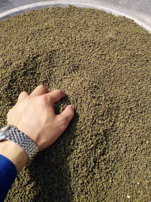 自家种植的高品质吴茱萸