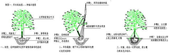 【点赞+收藏】零基础入门园林工程施工要求及注意事项