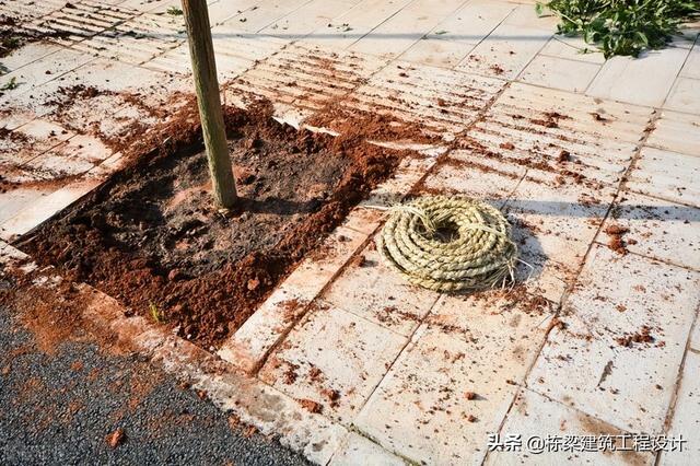 张国栋（栋梁）造价设计：园林中回填种植土套什么定额