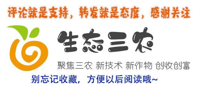 生态三农：麒麟冠怎么养？ 注意浇水次数施肥光照 麒麟冠种植技术