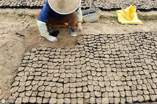 农业养殖（农民专业合作社）成立流程以及财务核算