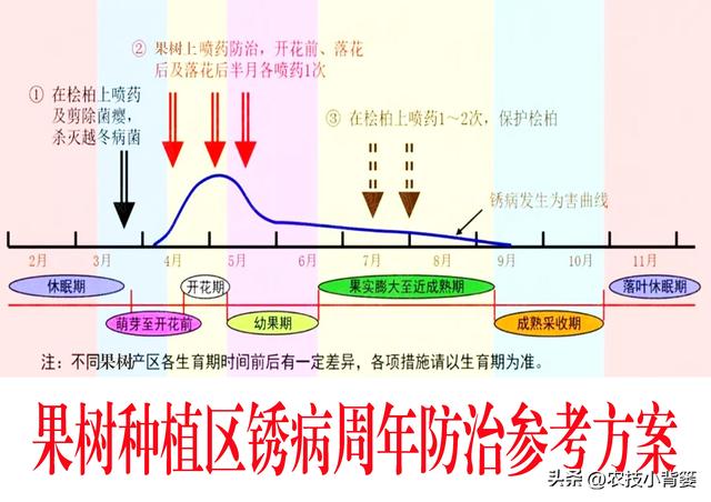 果树锈病怎么防治？啥时候防治？用哪种方法防治？什么药能防治？