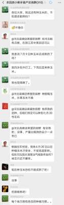 玉米什么时间种植-7月上中旬种植玉米晚不晚？能不能成熟？会不会减产？