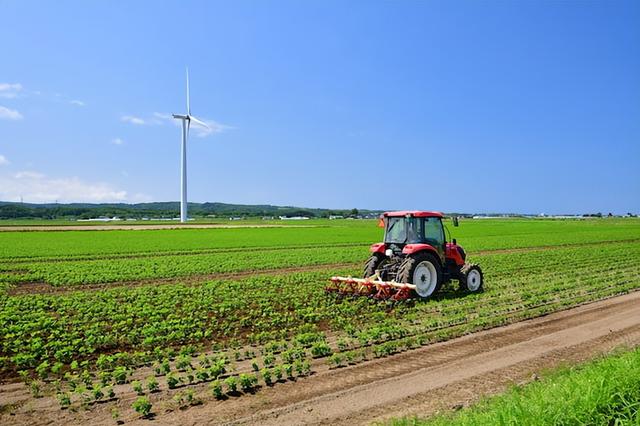 「大豆播种方法」适宜的时间、播种量、深度和初生点