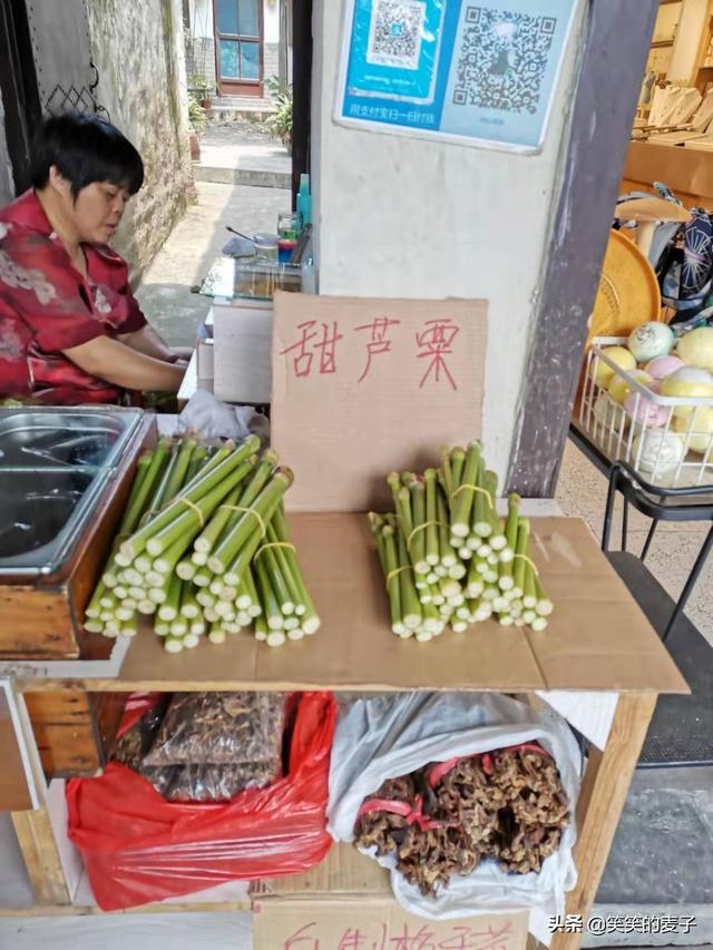 原来它是甜芦粟，甜如甘蔗，清热解毒，长见识了