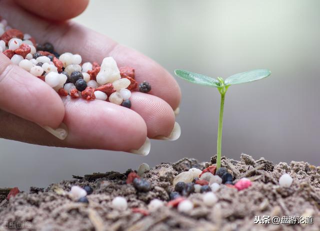 农业种植的新操作：配方施肥