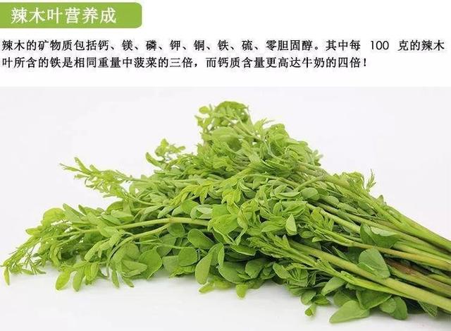 过去一周，以下致富商机值得关注！您错过了吗？