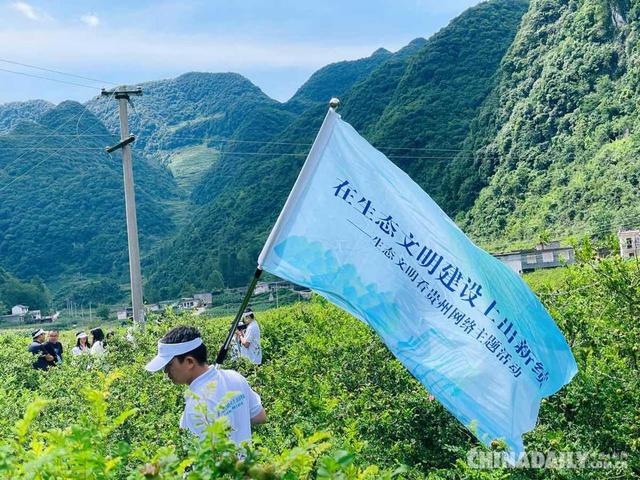 「在生态文明建设上出新绩」靠山吃山 贵州水城区野钟村运用刺梨让百姓腰包鼓起来