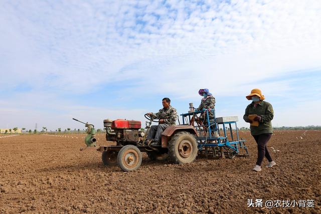 土壤墒情分几个等级？具体怎么判断？如何确定适合小麦适播墒情？