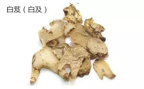 想种植中药材，但不知道种什么？这里有答案