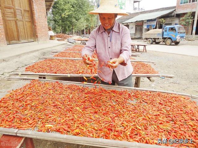 农村承包100亩土地，如果种植这种“农作物”一年净赚50万！