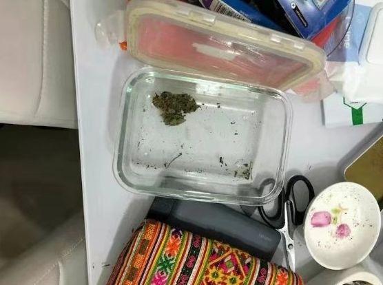 事发万宁！男子网购大麻种子在家里种植，还有吸食大麻工具……警方：抓你没商量