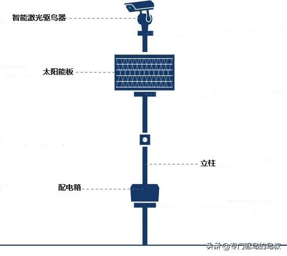 美国蓝莓种植者通过激光驱鸟增加了33%的收入