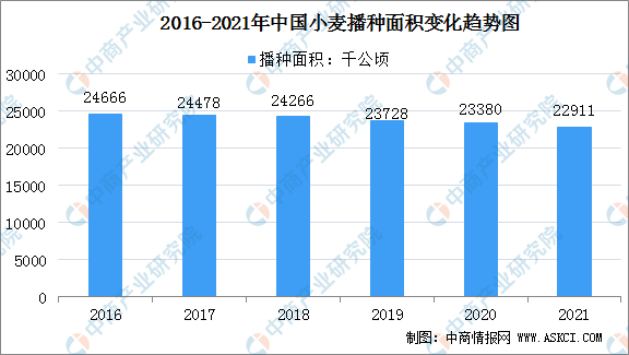 2021年中国小麦行业运行情况总结及2022年行业走势预测