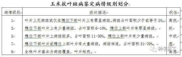 2021年吉林省普通玉米品种区域试验方案出台