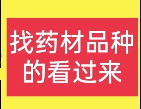 别再苦苦找药材种植项目了，这几种常见药材前景好，种植简单