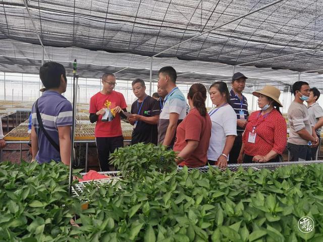 思茅区高素质农民蔬菜种植技术培训班开到田间地头