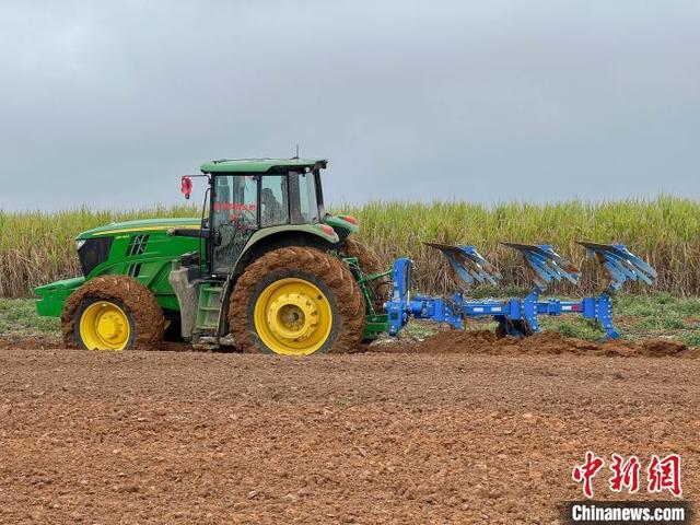 广西大型农场引入无人驾驶农机种植甘蔗降本增效