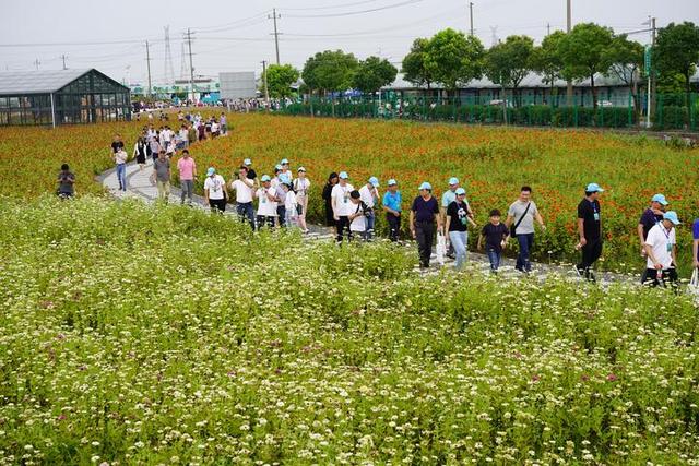 专家公布了最新农村耕地方案，10月务农种植可申请3项补助？须知