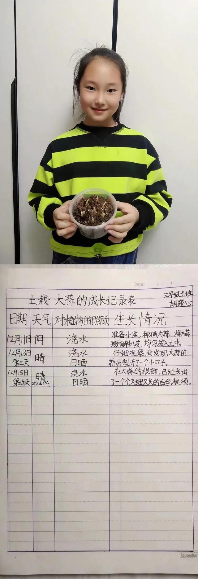 停课不停学“双减”欢乐多植物种植小乐园（第一期）奇妙的种子