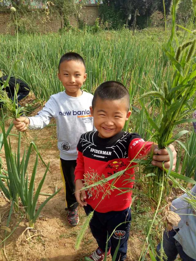 蔬果飘香 收获喜悦——合阳县甘井中心幼儿园种植园丰收啦！