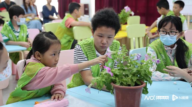 亲手栽培花苗，共建儿童花园！“小小育花匠”活动圆满结束