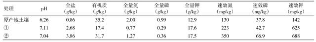 北方地区凤梨释迦种植技术