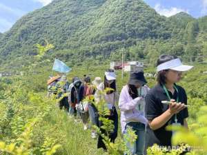 水城县刺梨种植-「在