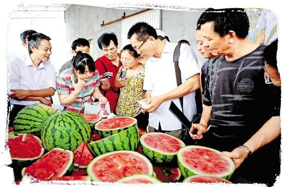 庆祝改革开放四十周年特刊丨牟官顺：追着太阳种西瓜