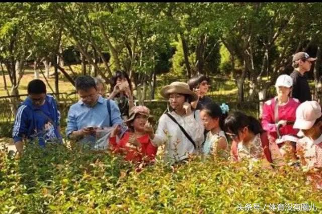 国内独家“识种子、辨植物、知自然”的课程，还真有苏州女孩在教