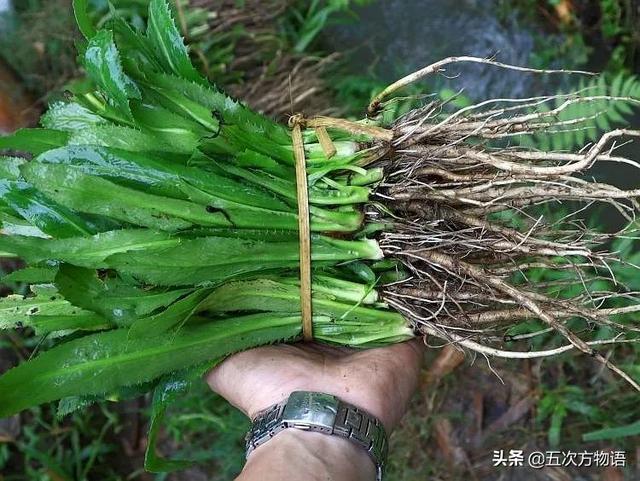 昆明餐馆中那些让外地人一头雾水的菜